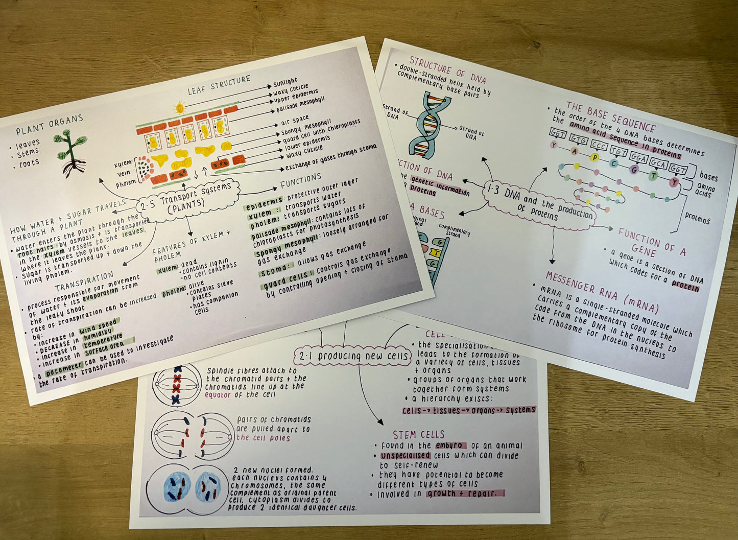 Biology National 5 Mind Maps