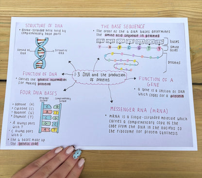 Biology National 5 Mind Maps