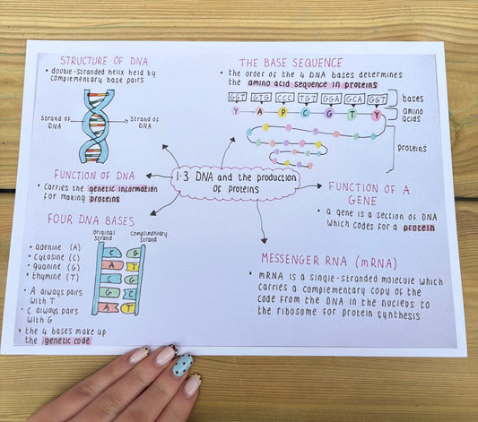 Biology National 5 Mind Maps