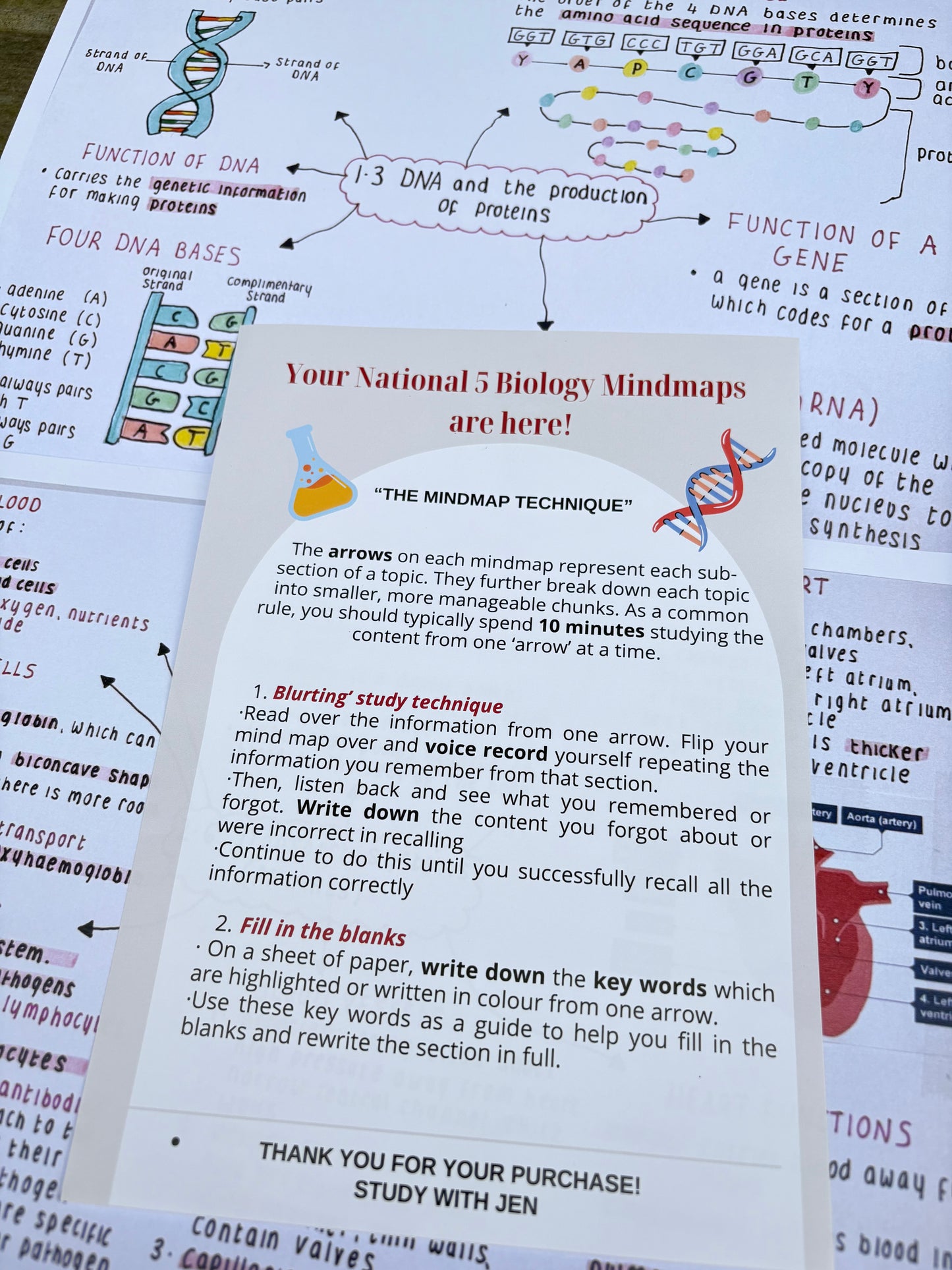 Biology National 5 Mind Maps